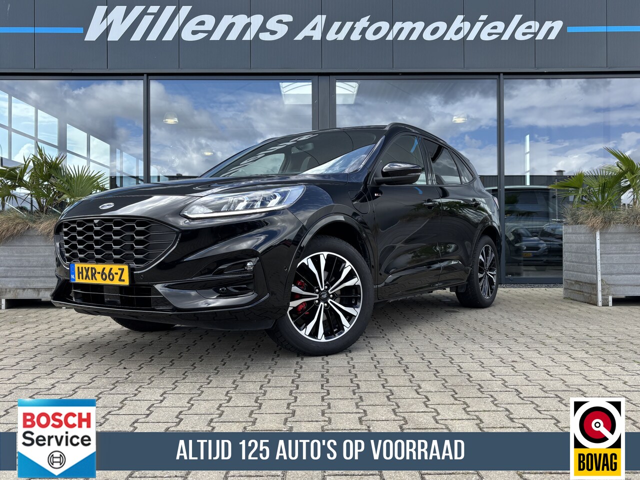 Ford Kuga - 2.5 PHEV ST-Line X Camera, Panorama Dak & Adaptive Cruise - AutoWereld.nl