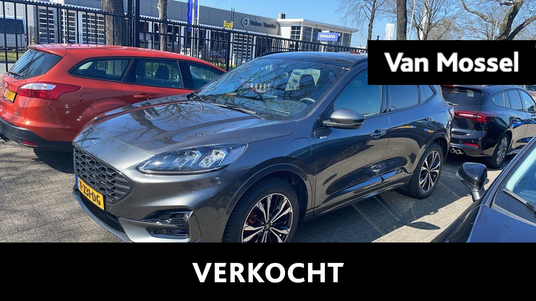 Ford Kuga - 2.5 PHEV ST-Line X Pano dak / AGR stoelen / 19" / B&O / Bliss / Adpap cruise / verlengde f - AutoWereld.nl