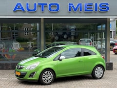 Opel Corsa - 1.2 EcoFlex Anniversary Edition LPG - PROBLEM GASKET / KOPPAKKING