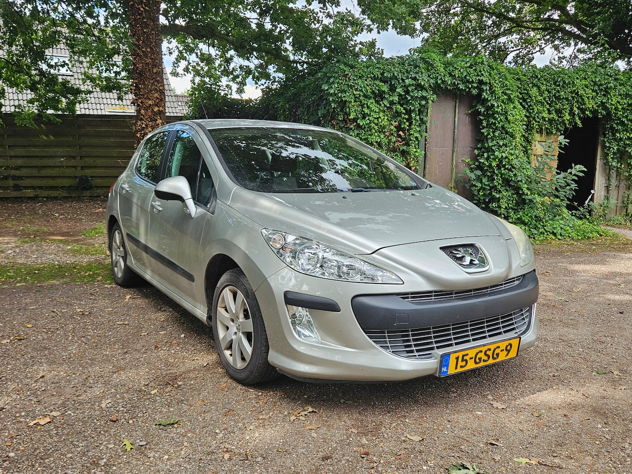 Peugeot 308 - 1.6 VTi XS Good - AutoWereld.nl