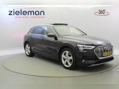 Audi e-tron - 50 quattro Launch edition plus 71 kWh - Leer, SOH 89%