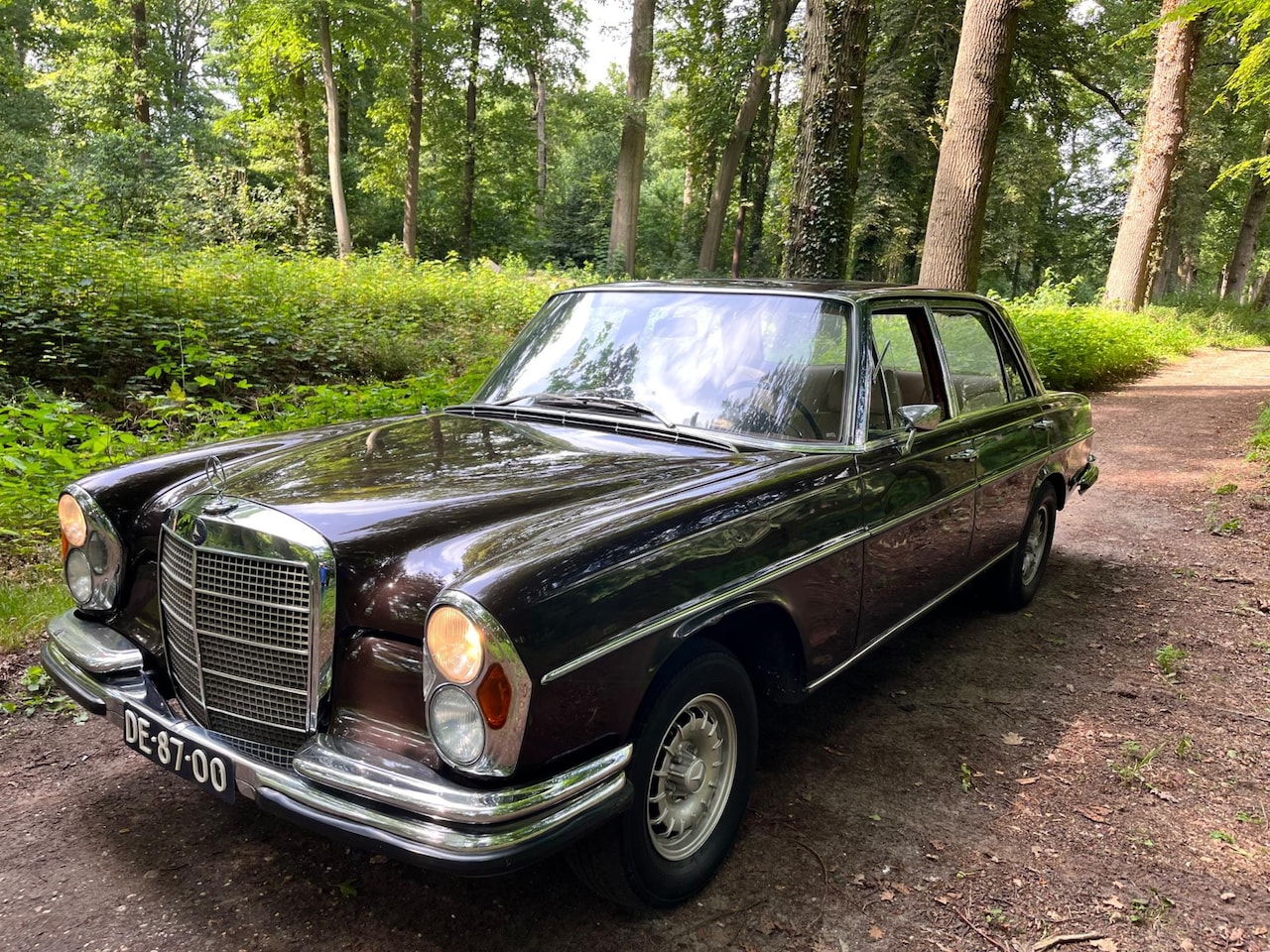 Mercedes-Benz 300-serie - 300 Se - AutoWereld.nl