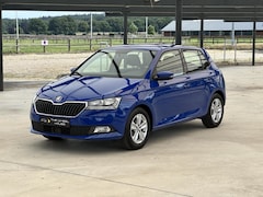 Skoda Fabia - 1.0 TSI Ambition TREKHAAK/CRUISE/PDC/DAB/AIRCO
