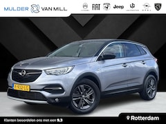 Opel Grandland X - Edition 2020 1.2 Turbo 130pk | AGR-STOELEN | CAMERA | TWO-TONE | WINTER PACK | NAVI PRO |