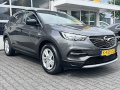 Opel Grandland X - 1.2 Turbo Business Executive Cruise control Trekhaak Apple Carplay/Android Auto