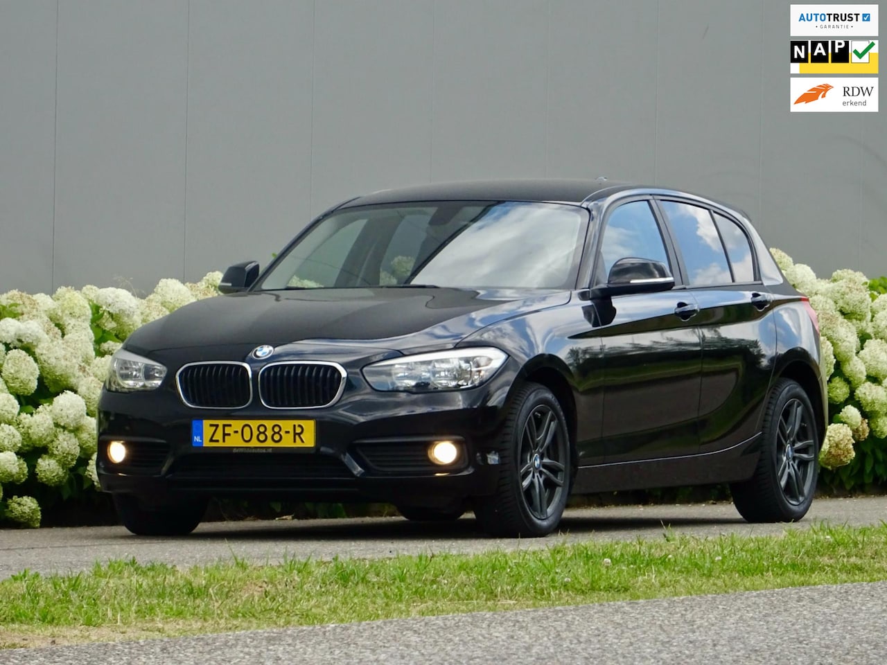 BMW 1-serie - 116i M Sport /// LED - Navi - Ketting v.v. // Facelift - AutoWereld.nl