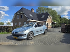Peugeot 206 CC - 1.6-16V Leuke cabrio, zomee zoals in huidige staat
