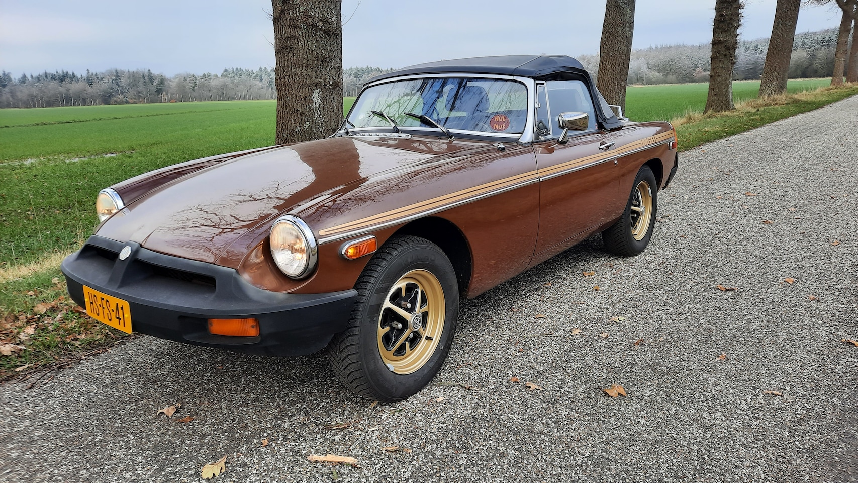 MG B type - 1.8 Roadster - AutoWereld.nl