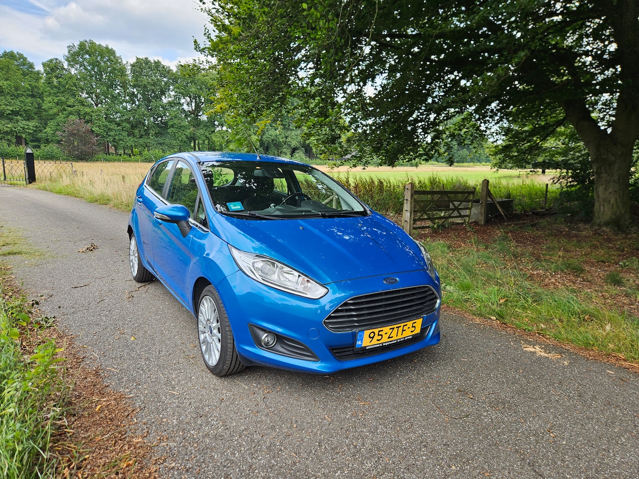 Ford Fiesta - 1.0 EcoBoost Titanium Turbo - AutoWereld.nl