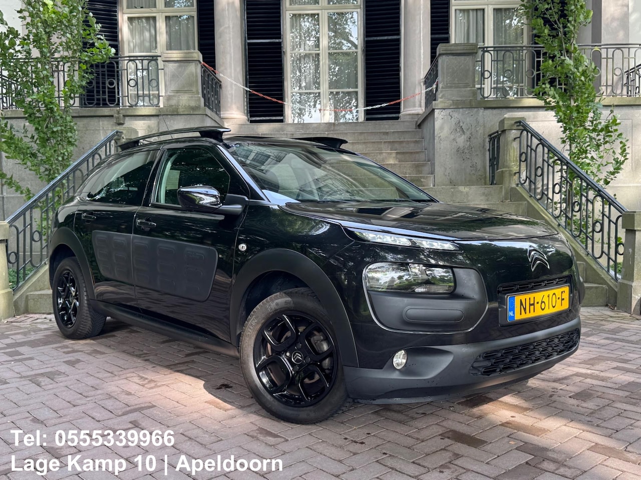 Citroën C4 Cactus - 1.2 PureTech Business CarPlay Climate Cruise Ctr Pdc - AutoWereld.nl