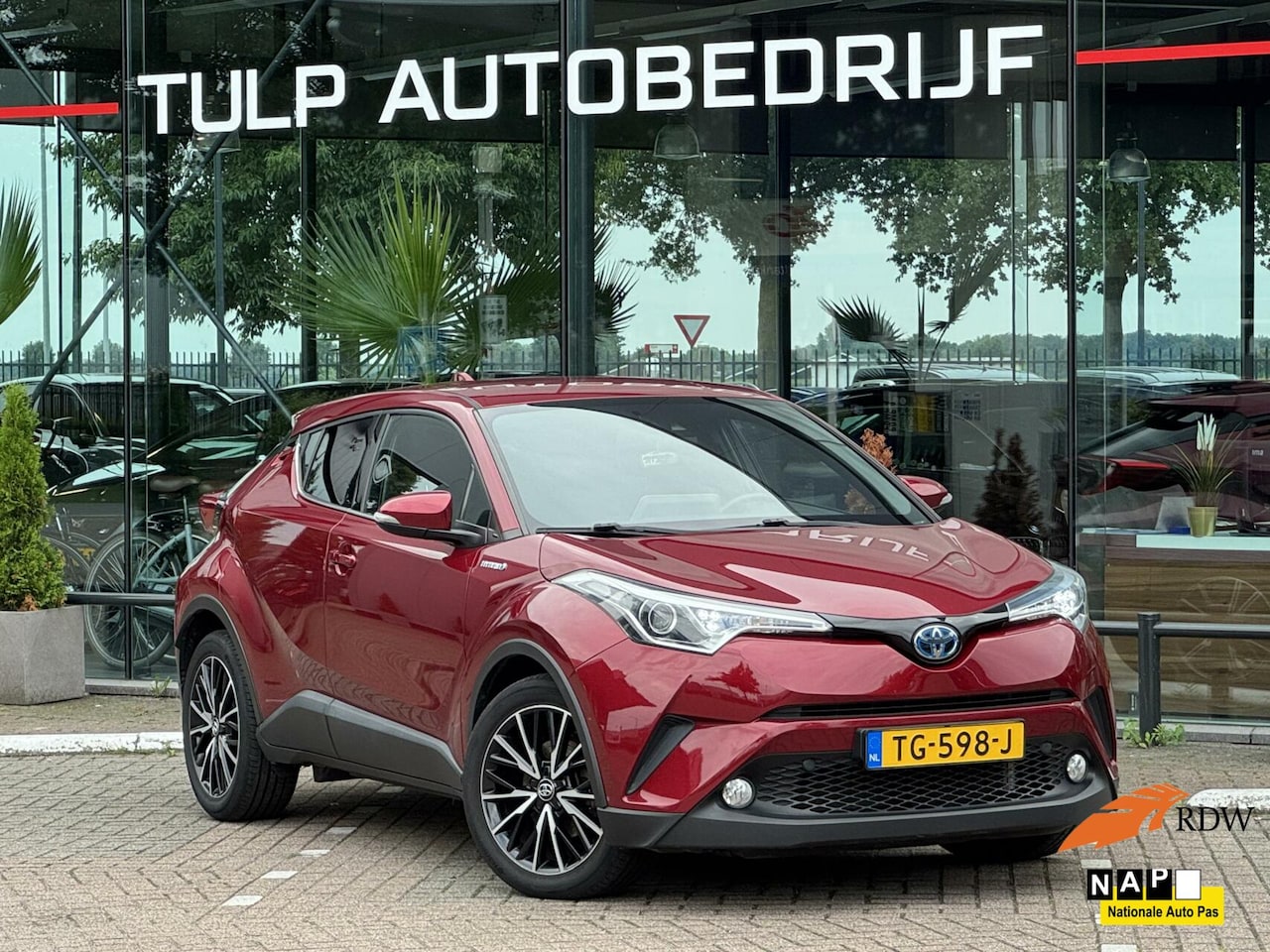 Toyota C-HR - 1.8 Hybrid Energy 2018 Clima Navi pdc Cruise Cnt - AutoWereld.nl