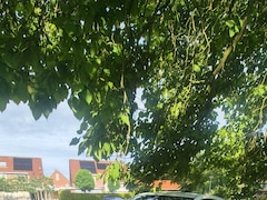 Kia Cee'd - 1.4 CVVT X-ecutive