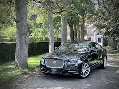 Jaguar XJ - 3.0 V6D Premium Luxury / ORG. NL. / MASSAGE / KOELING / PANO