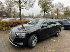 Audi e-tron - 55 quattro advanced 95 kWh | Cruise control | Electronic climate controle | LED achterlich