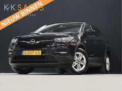 Opel Grandland X - 1.2 Turbo Business Edition [APPLE CARPLAY, ANDROID AUTO, PDC V+A, CRUISE CONTROL, NAVIGATI