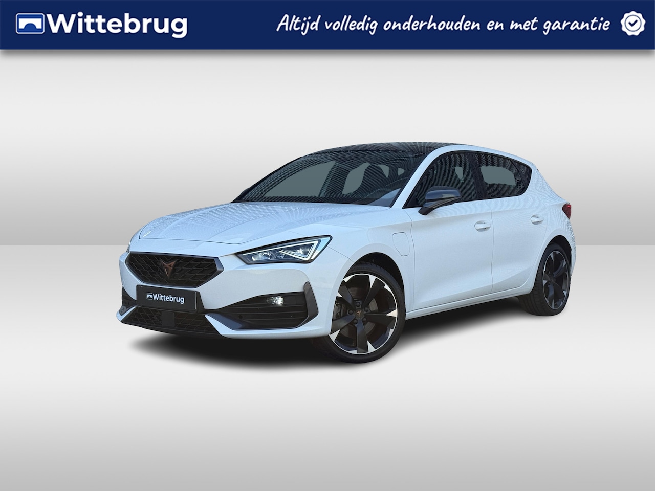 CUPRA Leon - 1.4 e-Hybrid 204PK Performance / Panoramadak / Kuipstoelen / Digitale Cockpit /  Parkeerse - AutoWereld.nl