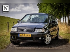 Volkswagen Polo - 1.4-16V Trendline| Nap | Dist vv | LM velgen