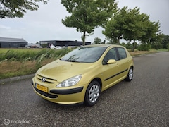 Peugeot 307 - 1.6-16V XR CRUISE / AIRCO / APK / 5 Drs / TREKHA