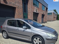 Peugeot 307 - 2.0-16V Gentry *AIRCO