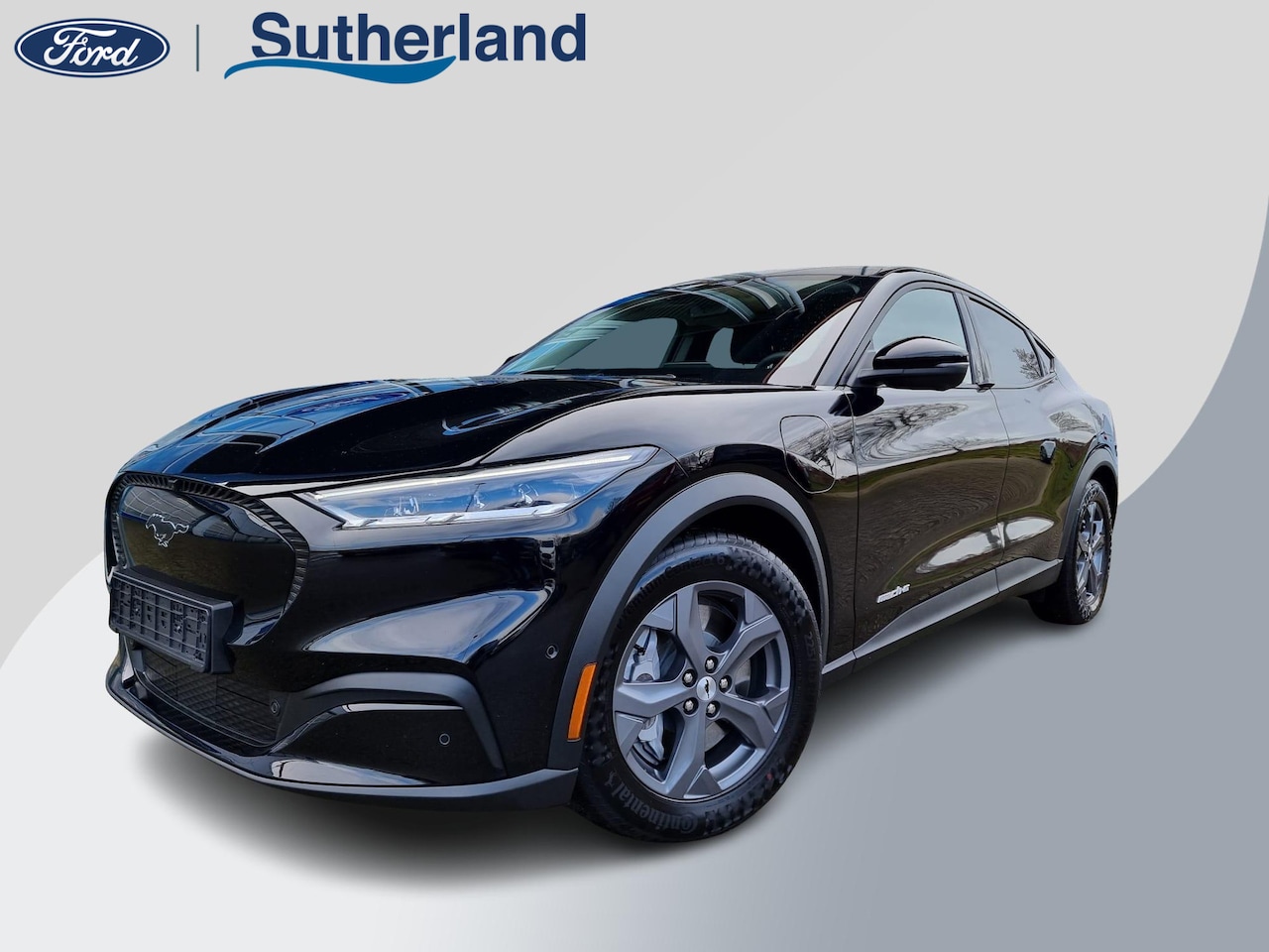 Ford Mustang Mach-E - RWD 75 kWh 269pk | Technology Pack + | Adaptieve cruise | Winterpack | - AutoWereld.nl