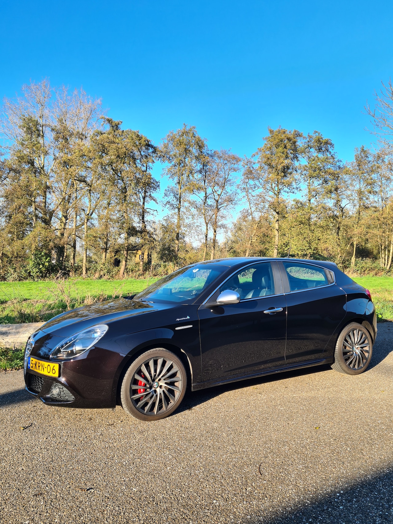 Alfa Romeo Giulietta - 1.6 JTDm Limited Edition Sport Sportiva - AutoWereld.nl