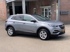 Opel Grandland X - 1.2 TURBO BUS. EX. ECC PANARAMADAK NIEUWSTAAT