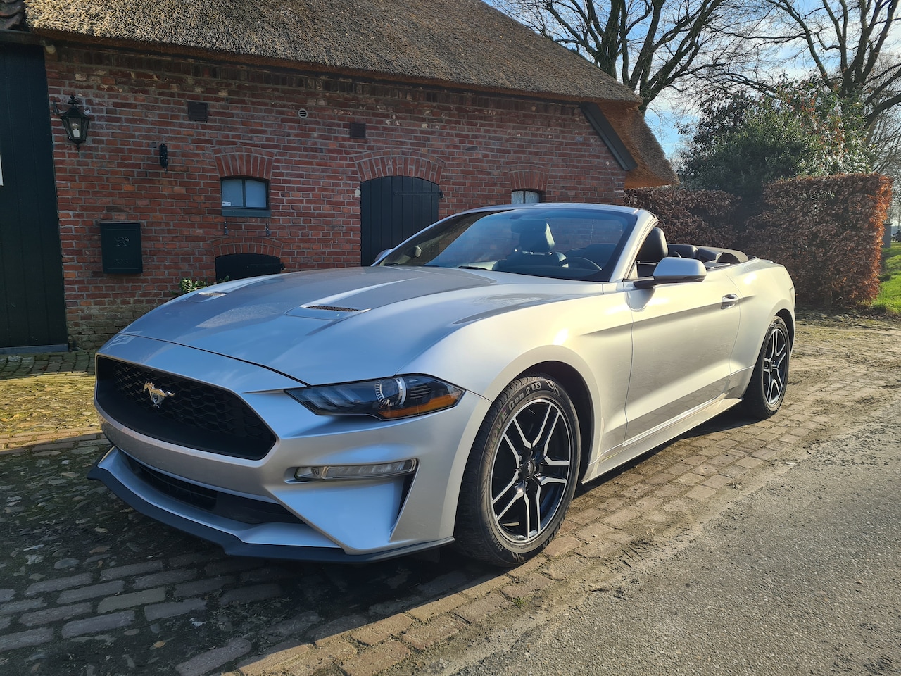 Ford Mustang Convertible - 2.3 EcoBoost - AutoWereld.nl