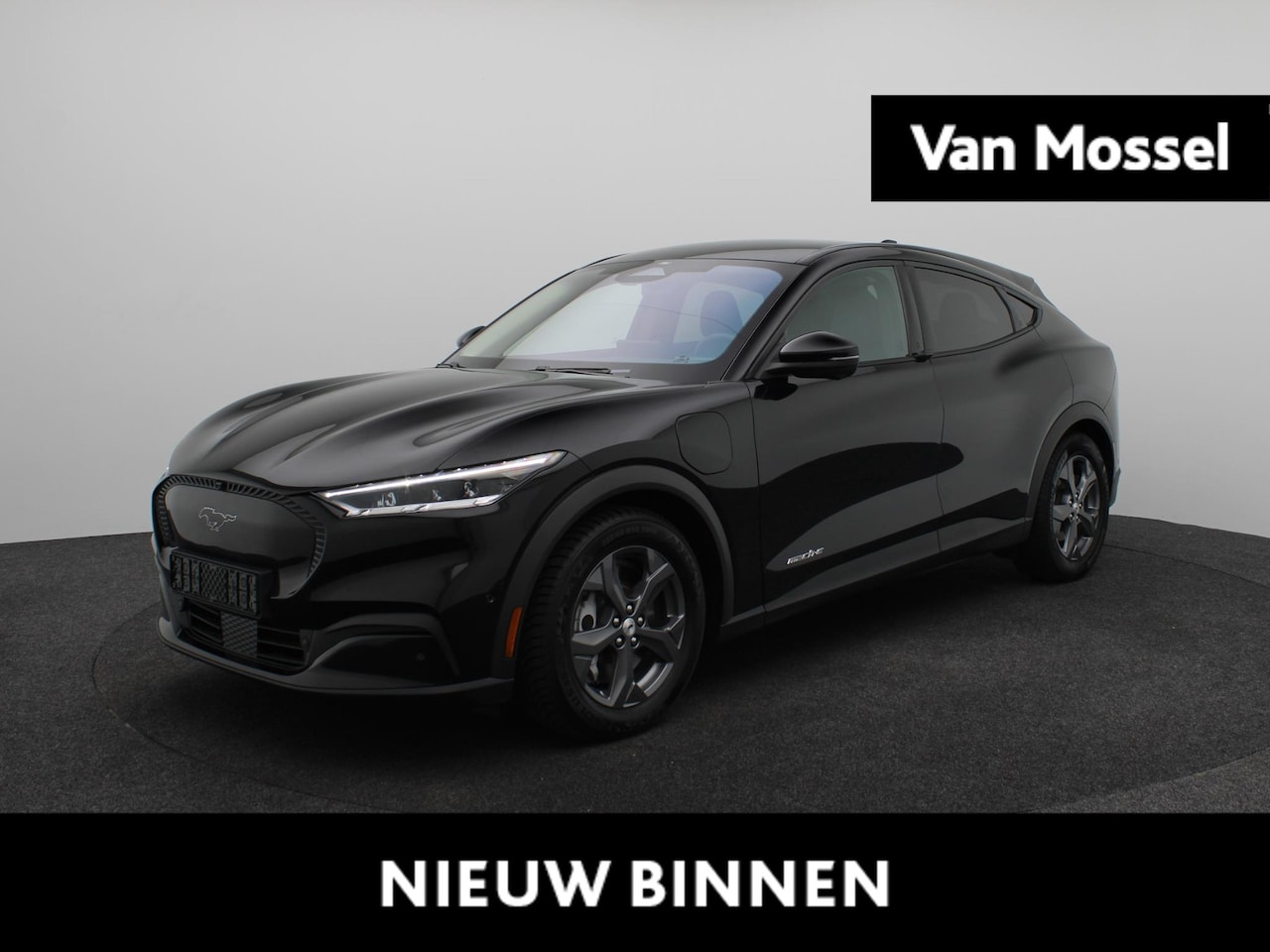Ford Mustang Mach-E - Extended RWD 98 kWh - AutoWereld.nl