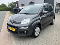 Fiat Panda - 1.2 Lounge 4-CIL. , ORG NED AUTO , 1e EIGENAAR