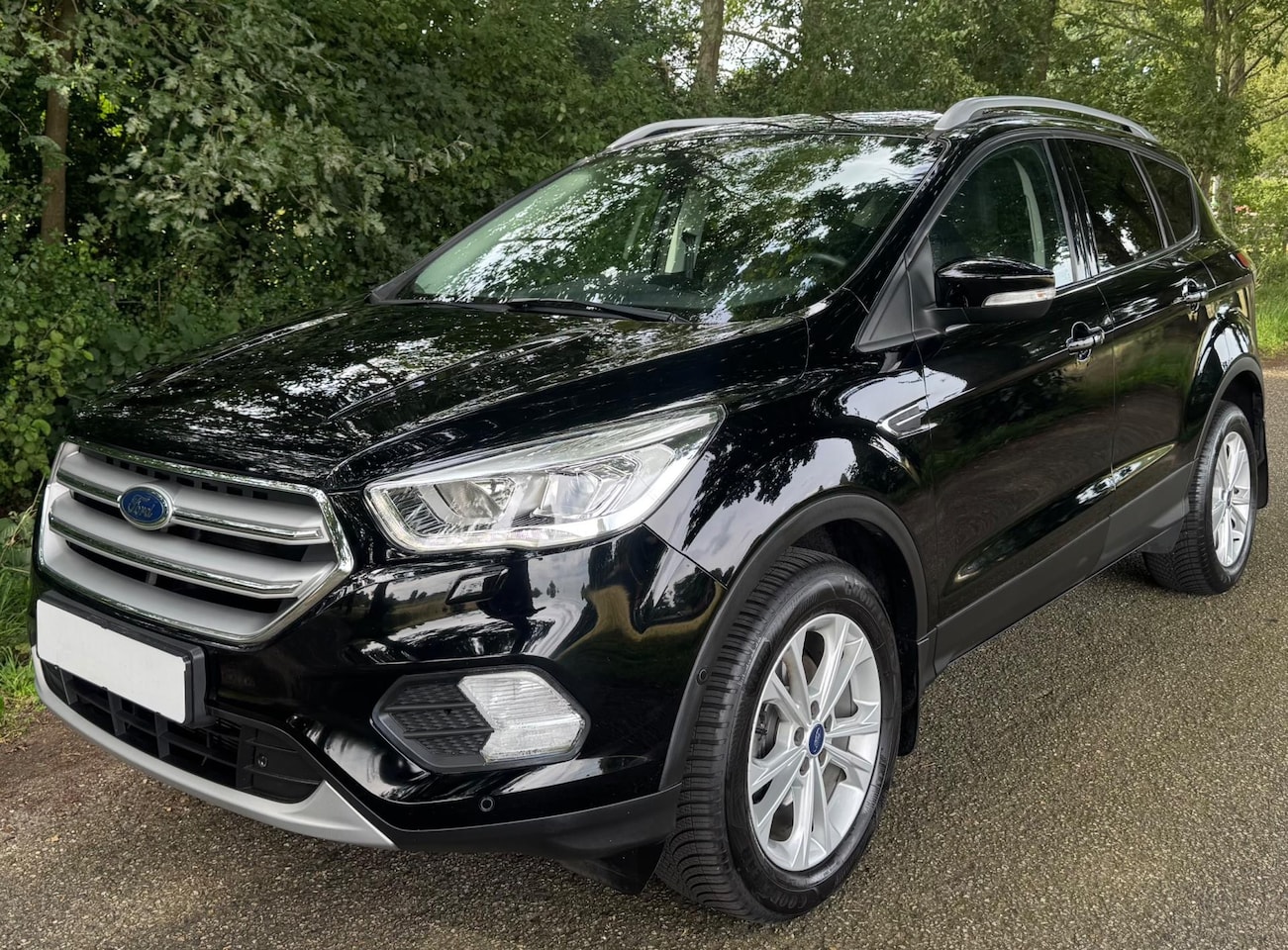 Ford Kuga - 1.5 EcoBoost Titanium 150PK 2017 CLIMA CAMERA APPLE TREKHAAK - AutoWereld.nl