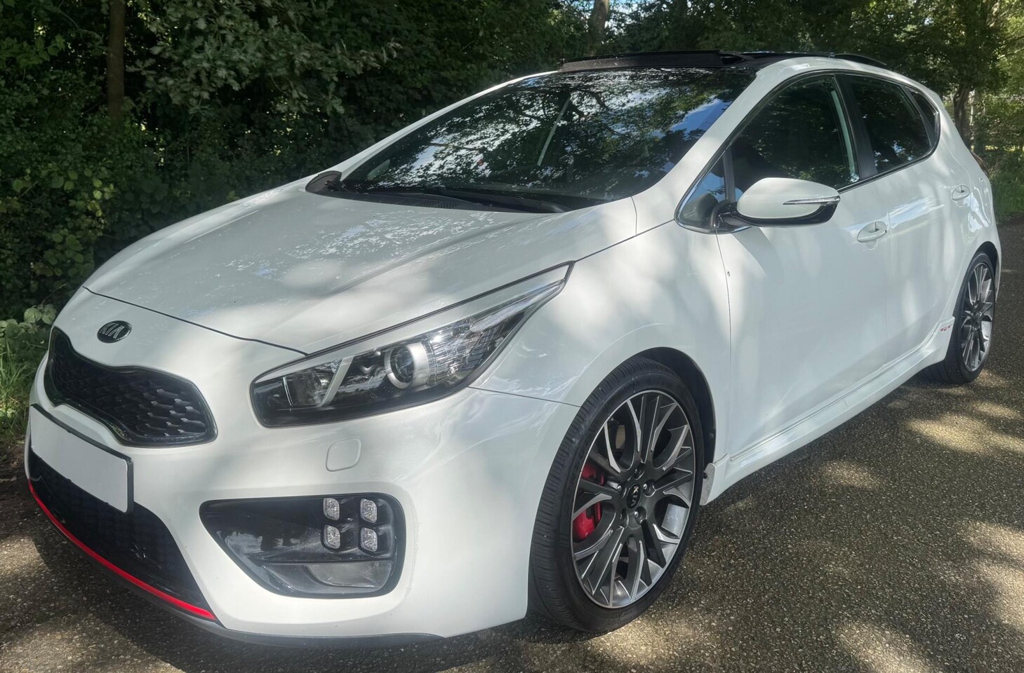 Kia Cee'd - 1.6 GT GDI 2015 204 PK 5-DRS PANO NAVI CLIMA DEALER ONDERHOUDEN - AutoWereld.nl
