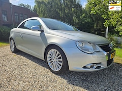 Volkswagen Eos - 2.0-16v FSI LEER/airco/CRUISE