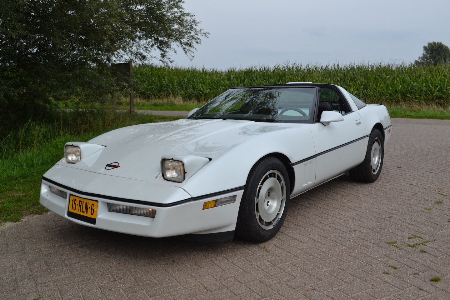Chevrolet Corvette - USA 1 YZ 67 454 ci. - AutoWereld.nl