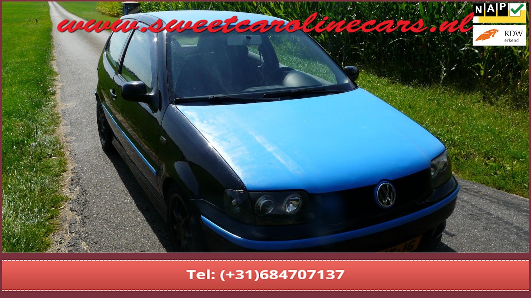 Volkswagen Polo - 1.4 Trendline INRUILKOOPJE!! - AutoWereld.nl