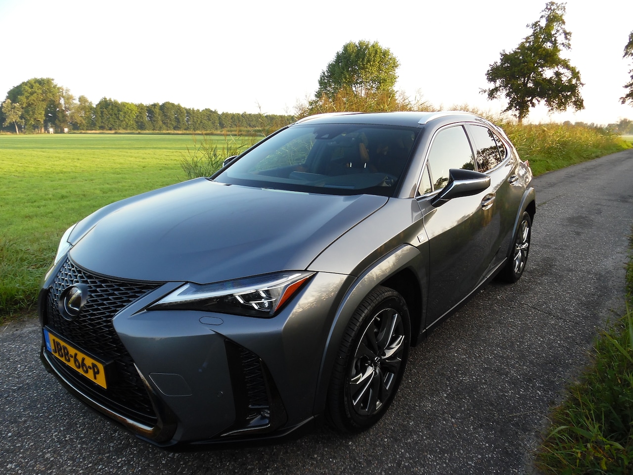 Lexus UX - 250h F Sport Premium - AutoWereld.nl