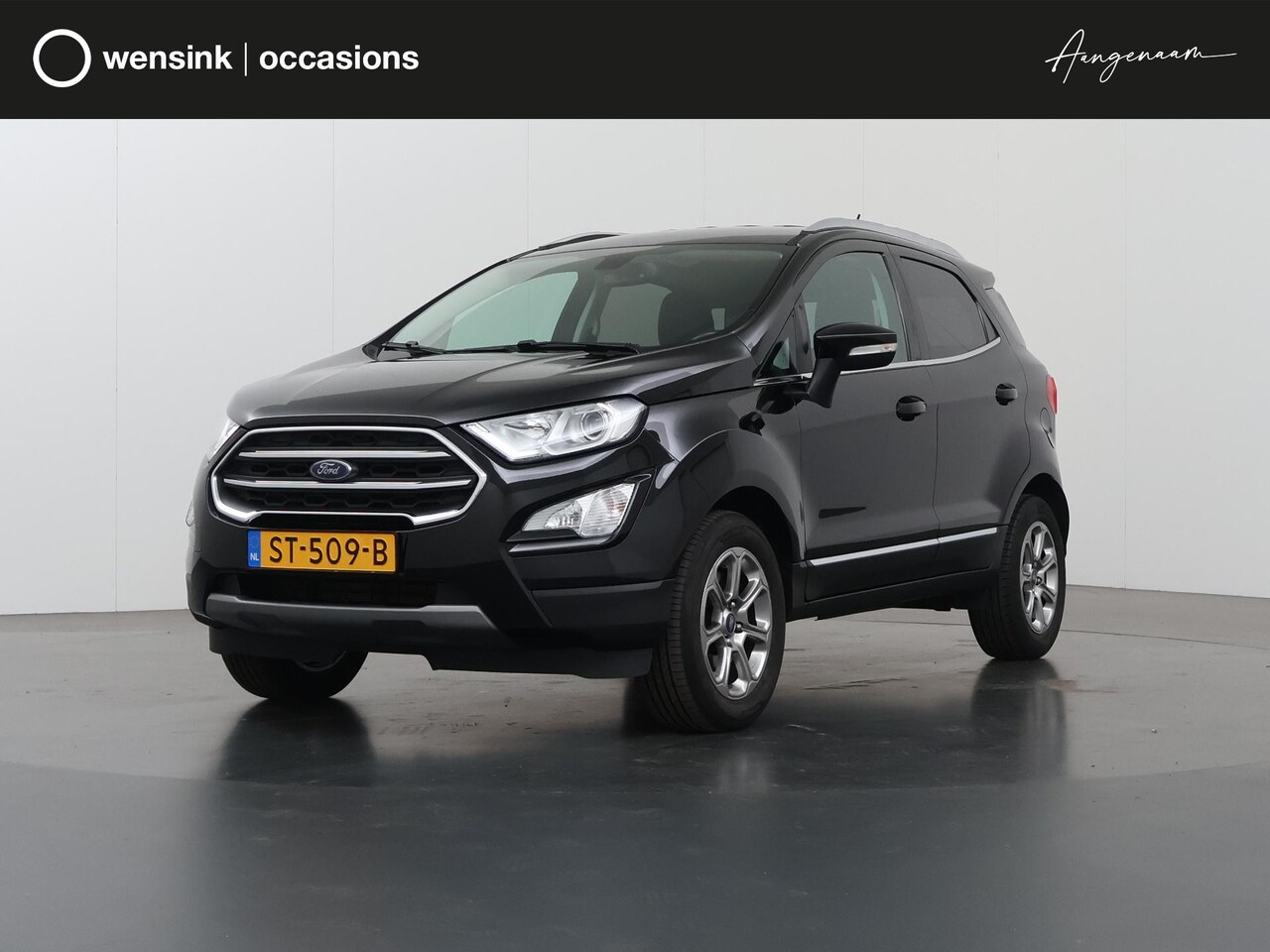 Ford EcoSport - 1.0 EcoBoost Titanium | Trekhaak | Winterpakket | Parkeercamera | Navigatie | DAB | Carpla - AutoWereld.nl