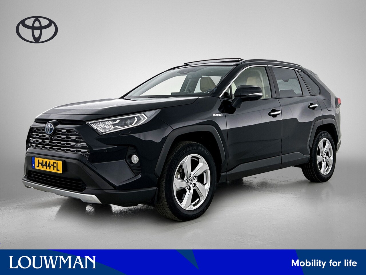 Toyota RAV4 - 2.5 Hybrid Executive Limited - AutoWereld.nl