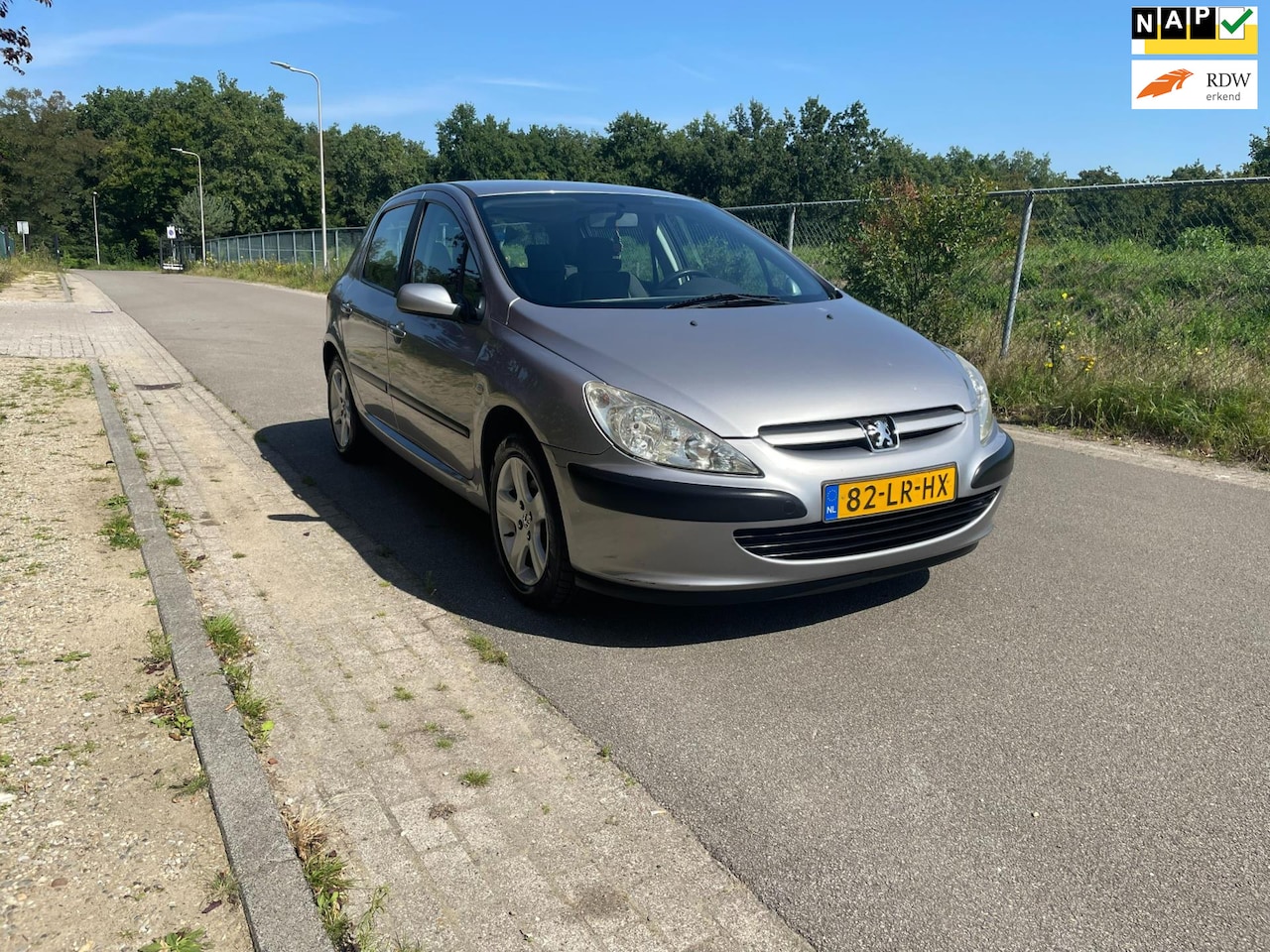 Peugeot 307 - 1.6-16V XT {Automaat}{Airco} - AutoWereld.nl