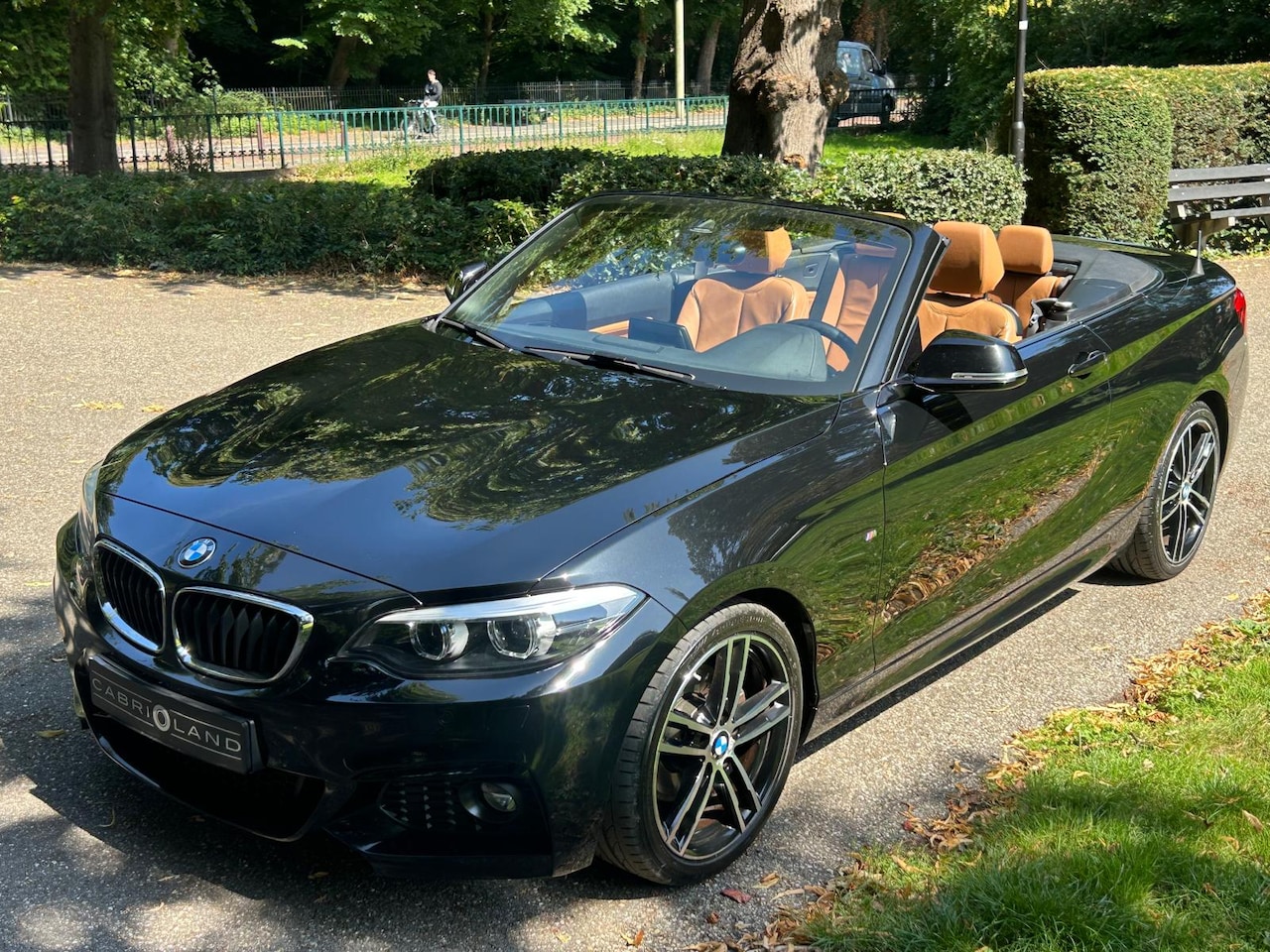 BMW 2-serie Cabrio - 220i M-Sportpakket - AutoWereld.nl