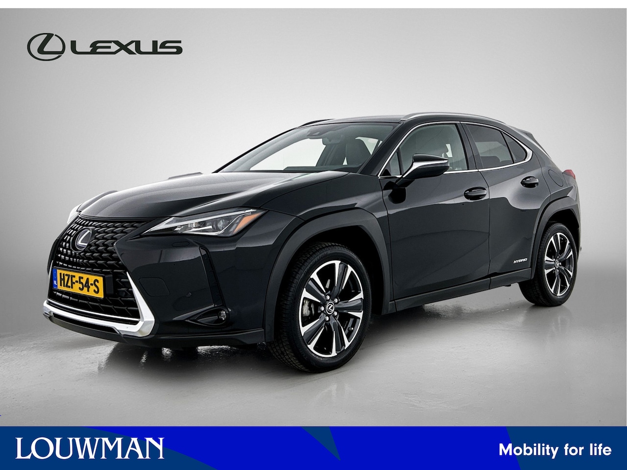 Lexus UX - 250h Business Line | Stoelverwarming | Stuurverwarming | Parkeersensoren | - AutoWereld.nl