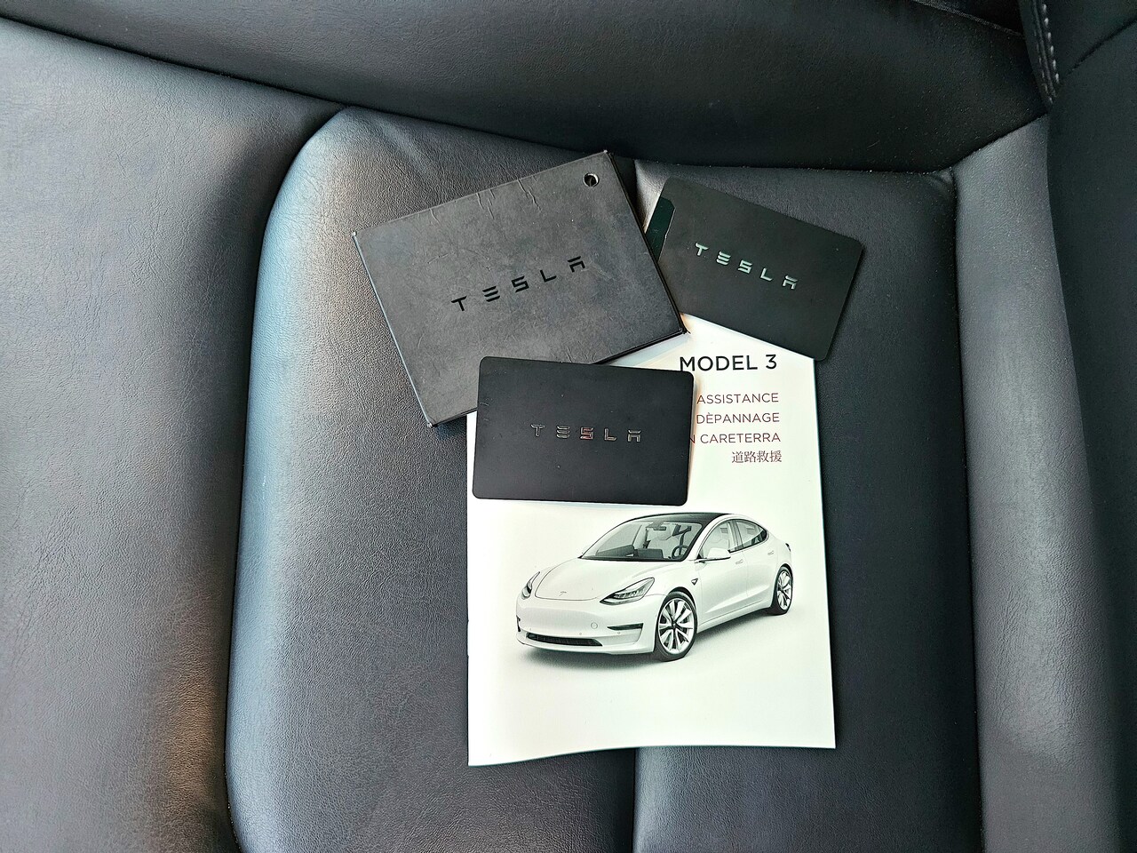 Tesla Model 3 - Long Range Panorama 19" lichtmetalen velgen