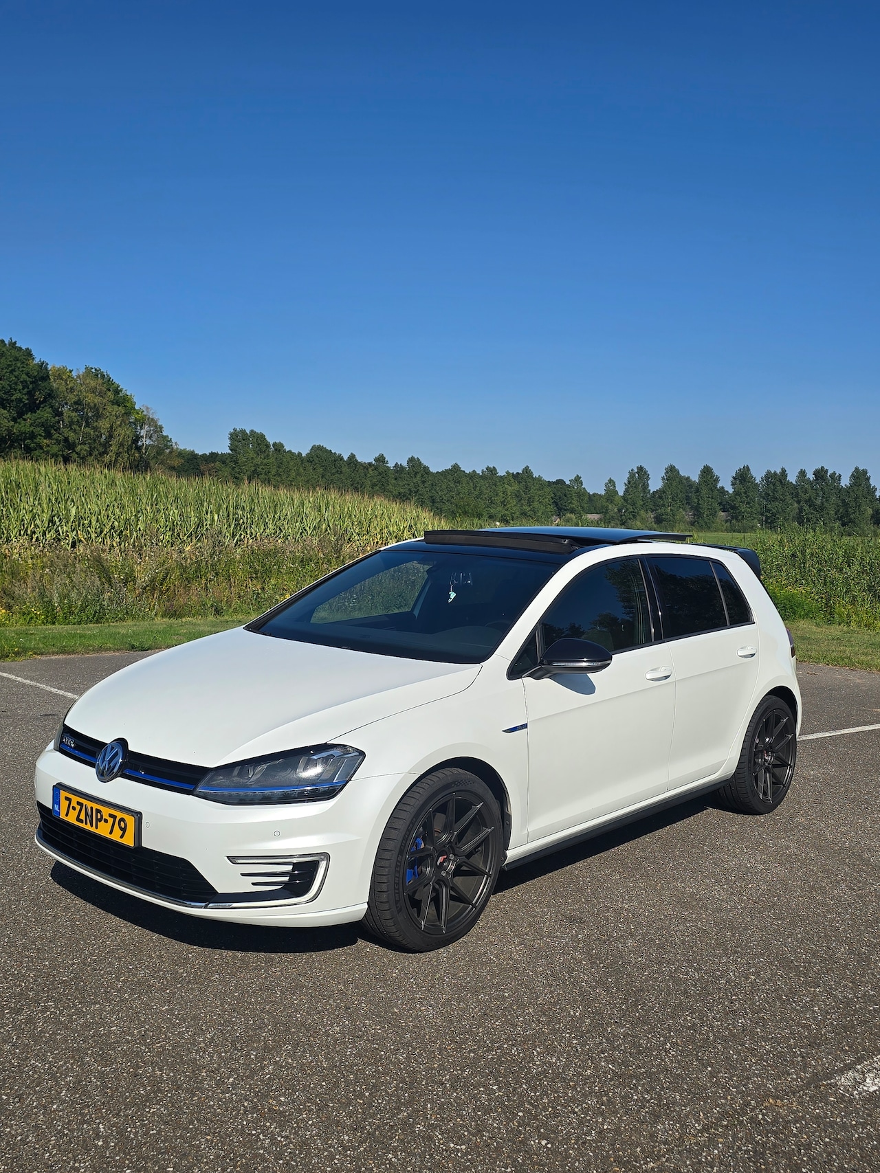 Volkswagen Golf - 1.4 TSI GTE 7 | CAR Play | Distributie riem | Panorama | Trekhaak - AutoWereld.nl