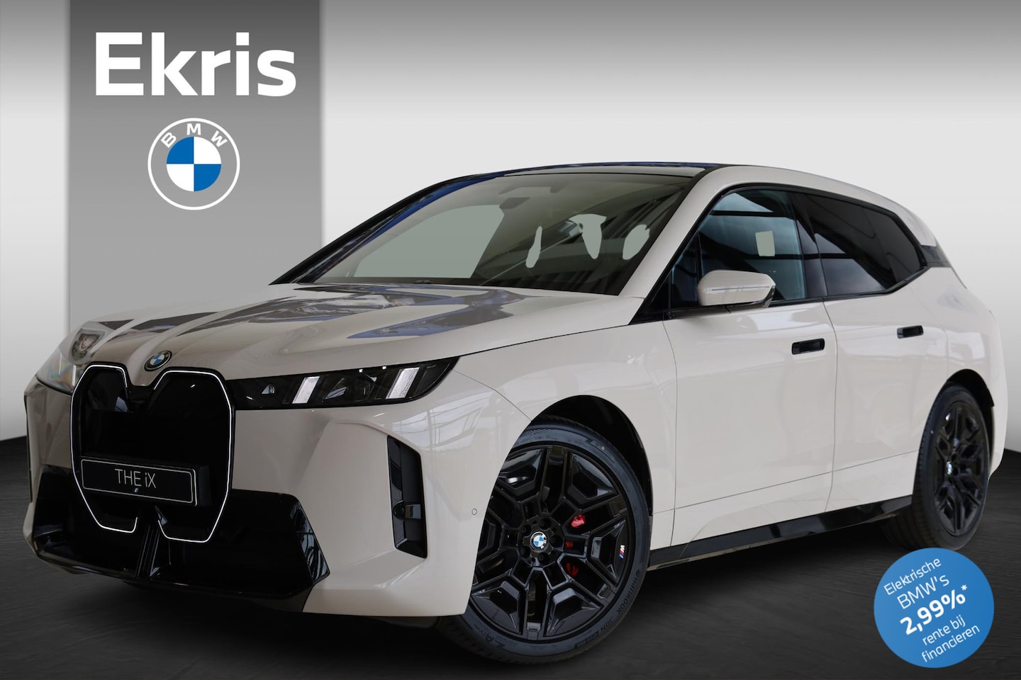 BMW iX - xDrive45 | M Sportpakket | M Sportpakket Pro | Comfort Pack icm M Sportpakket | Innovation - AutoWereld.nl