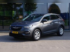 Opel Grandland X - 1.2 Turbo 131 PK Business Executive, Panoramadak, Cruise Control, Winterpakket