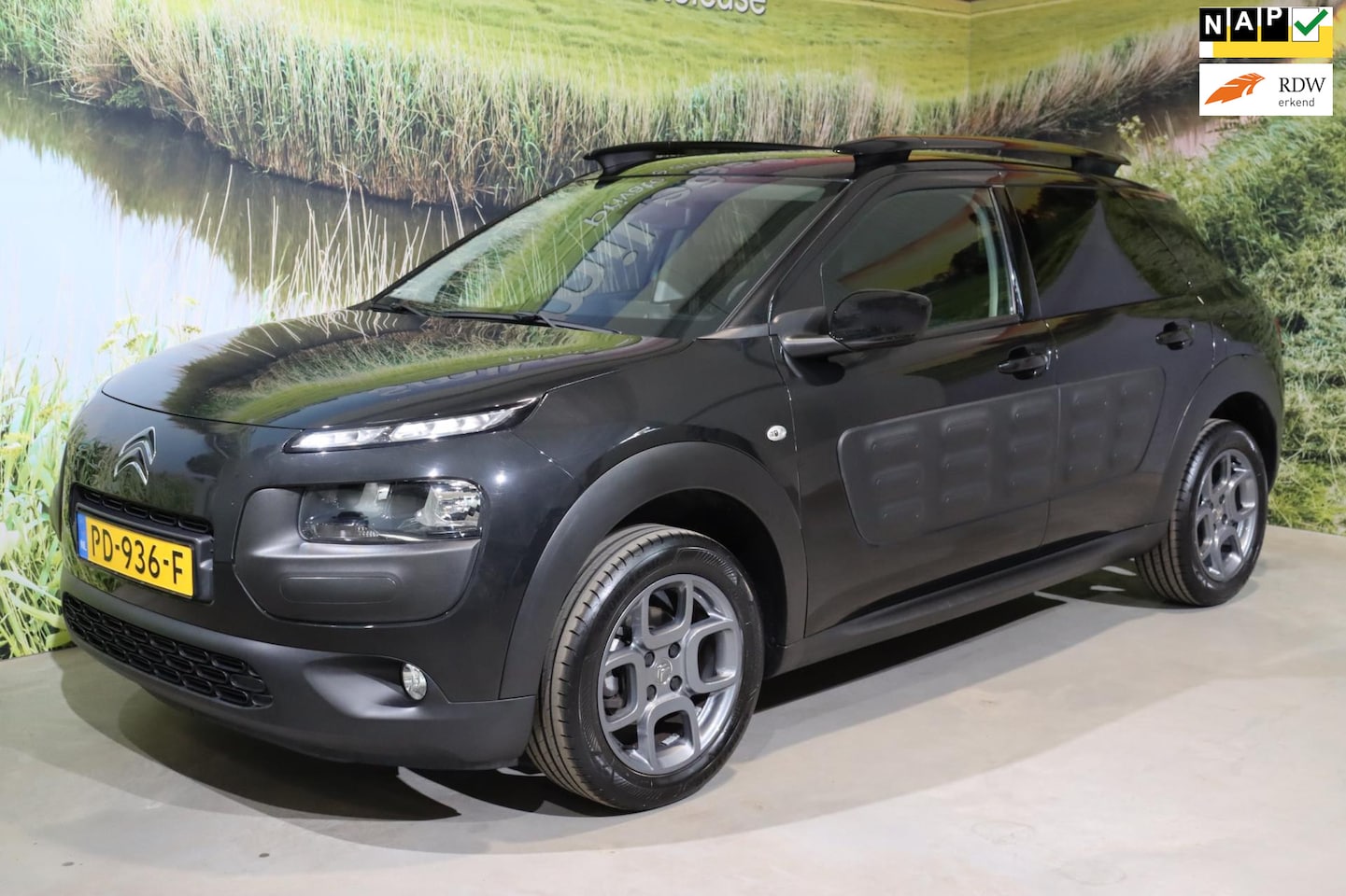 Citroën C4 Cactus - 1.2 PureTech Shine |distributie vervangen! - AutoWereld.nl