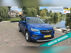 Opel Grandland X - 1.2 Turbo Business Executive