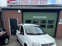 Fiat Panda - 1.2 Edizione Cool airco elektrischpakket nieuwe distrubutie + waterpomp, rekening ter inza