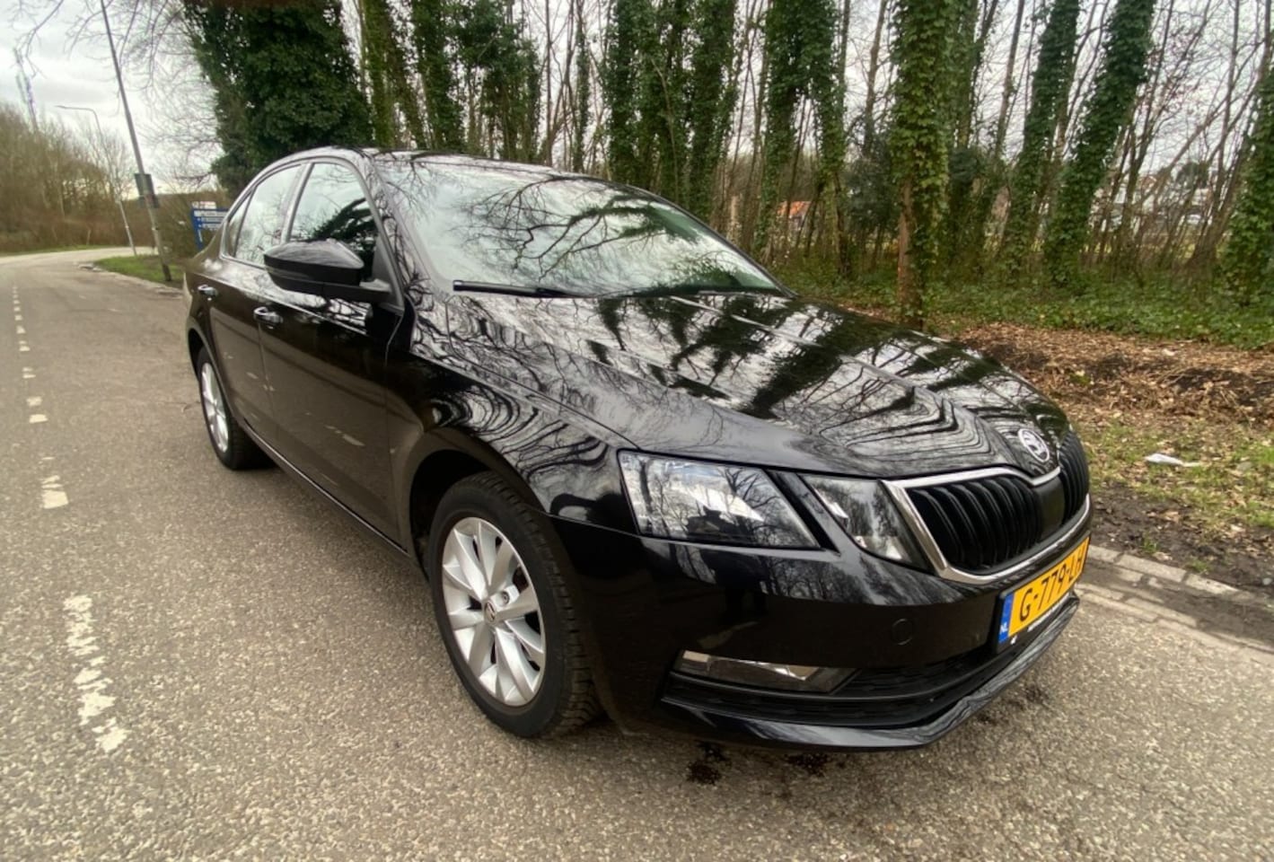 Skoda Octavia - 1ste eigenaar*Airco*Cruise-Controle*clima-controle - AutoWereld.nl