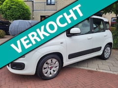 Fiat Panda - 1.2 Edizione Cool