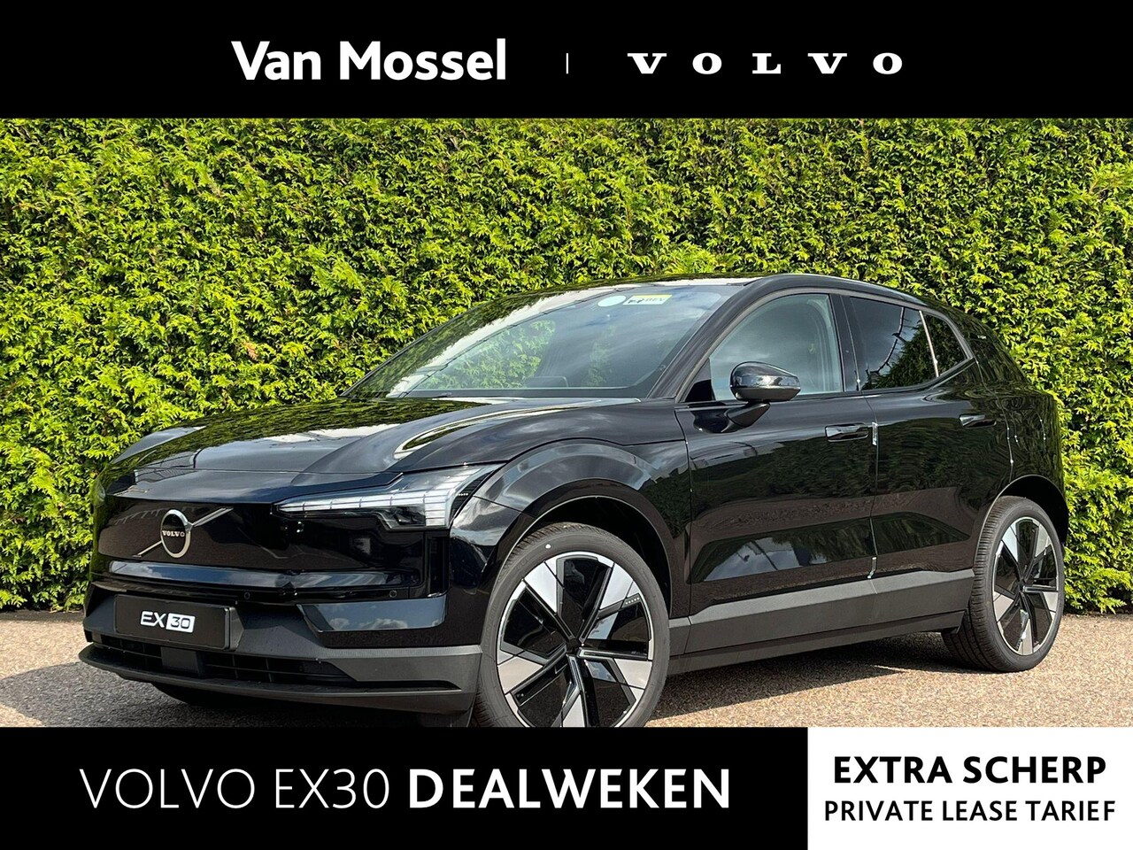 Volvo EX30 - Single Motor Extended Range Plus 69 kWh | nieuw uit voorraad | LAAGSTEPRIJS garantie - AutoWereld.nl